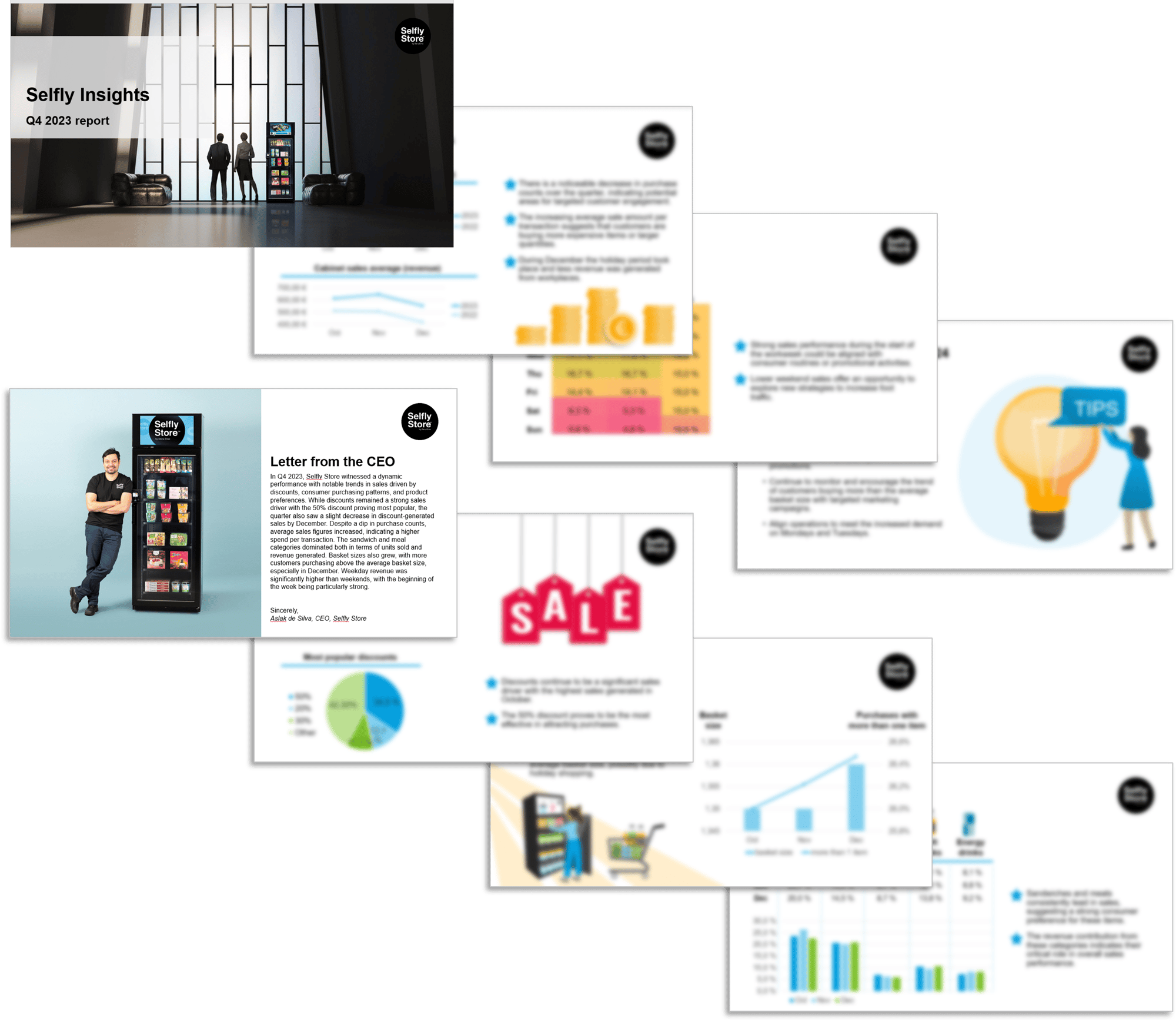 Selfly Insights report example with blurred slides